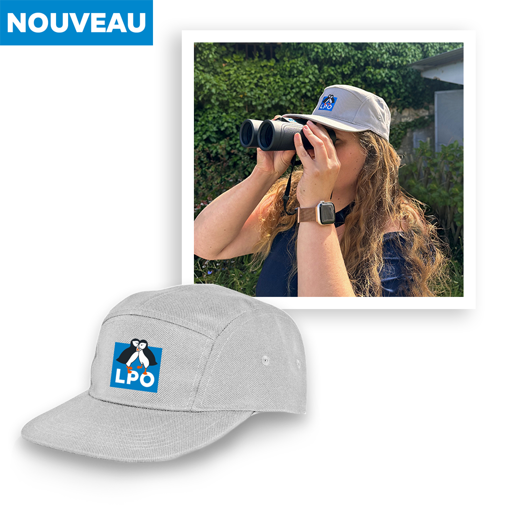 Casquette LPO Coton recyclé gris clair
